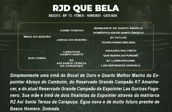 Geração RJD QUE BELA 