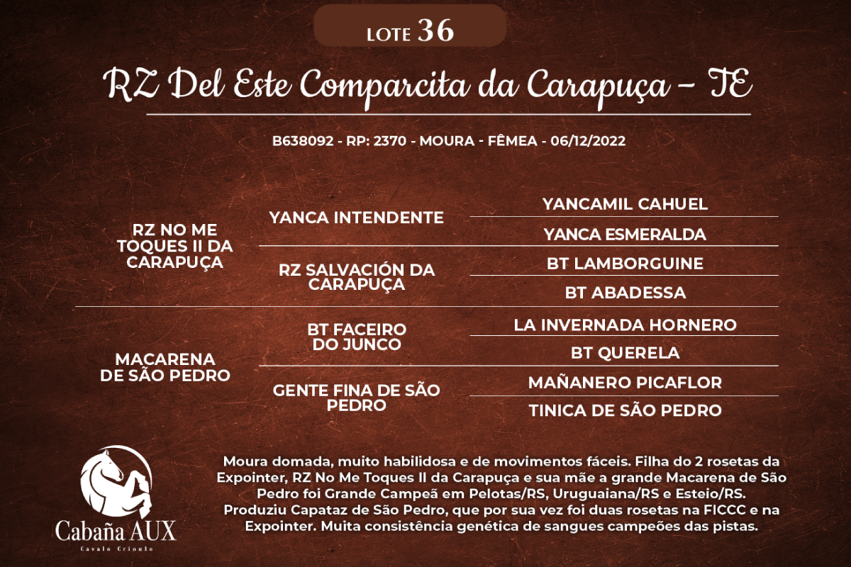 Geração RZ DEL ESTE COMPARCITA DA CARAPUÇA-TE