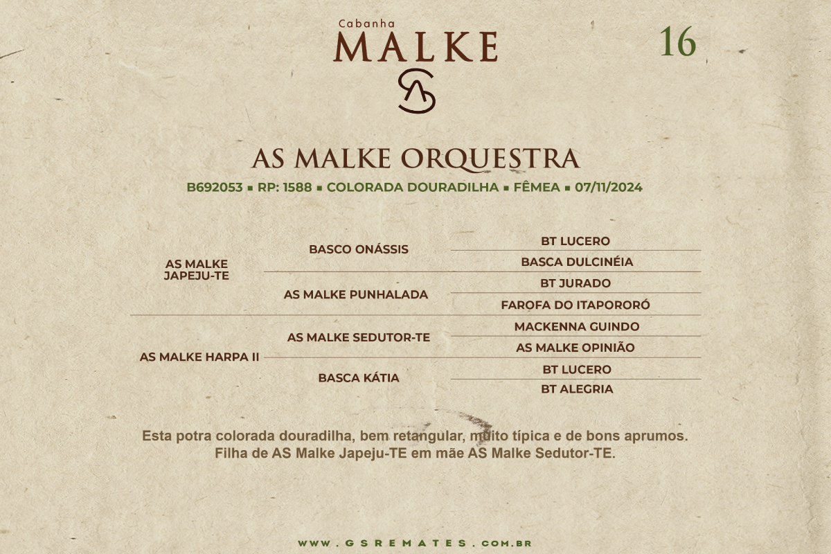 Geração AS MALKE ORQUESTRA