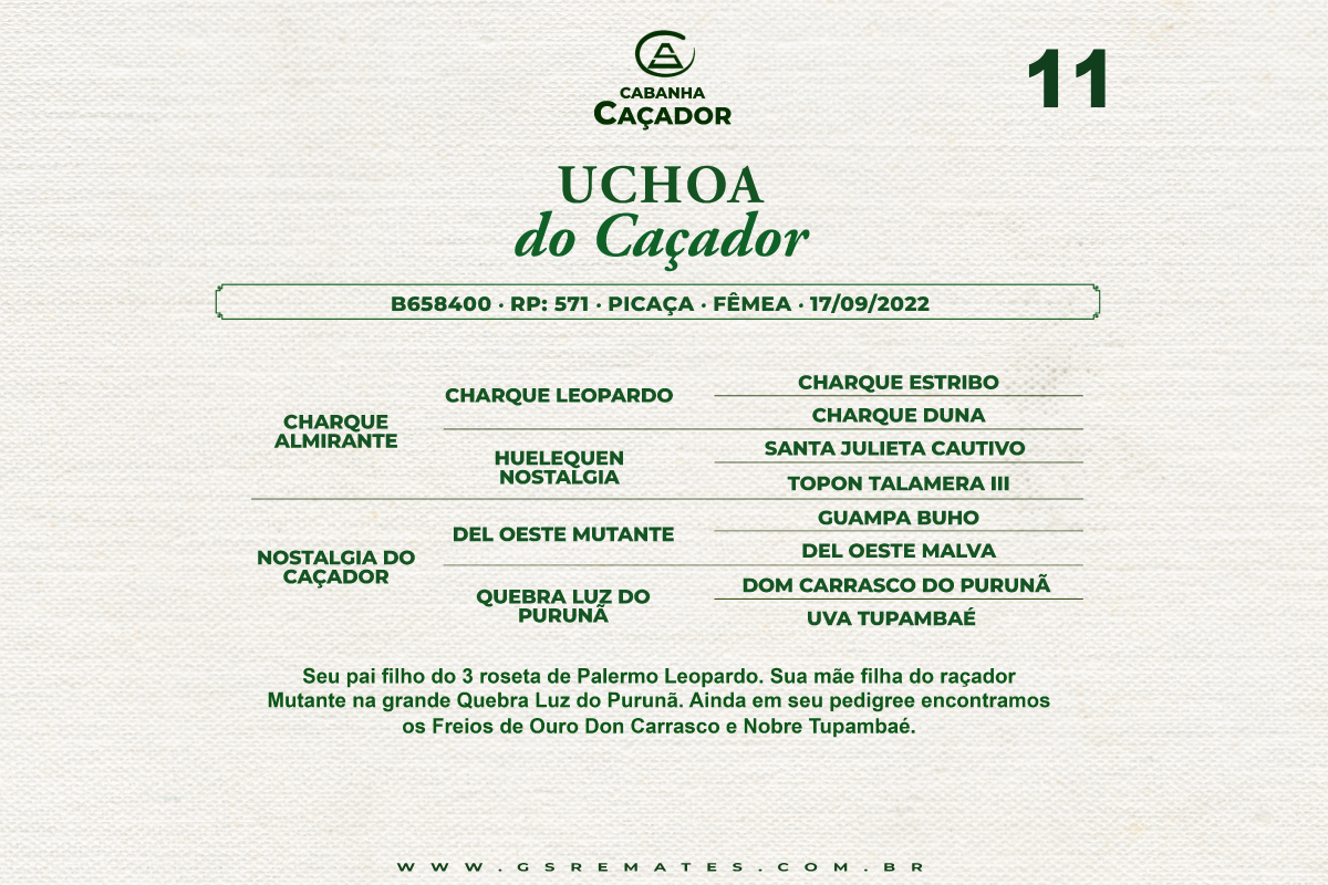 Geração UCHOA DO CAÇADOR 