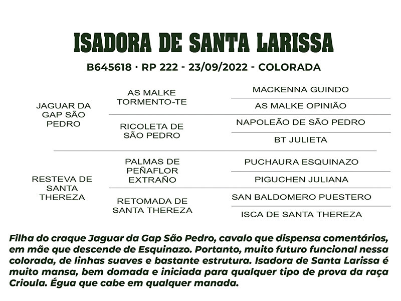 Geração ISADORA DE SANTA LARISSA 
