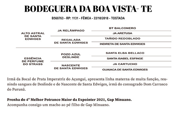 Geração BODEGUERA DA BOA VISTA - TE