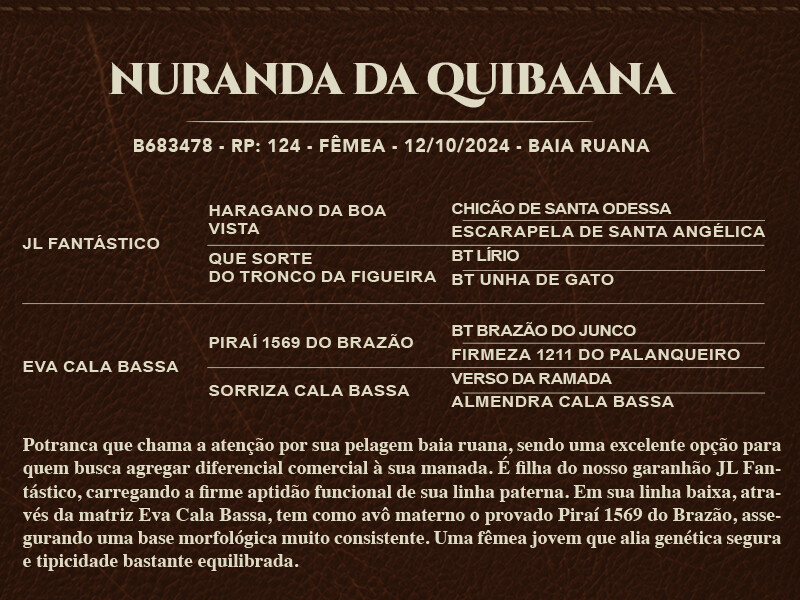 Geração NURANDA DA QUIBAANA