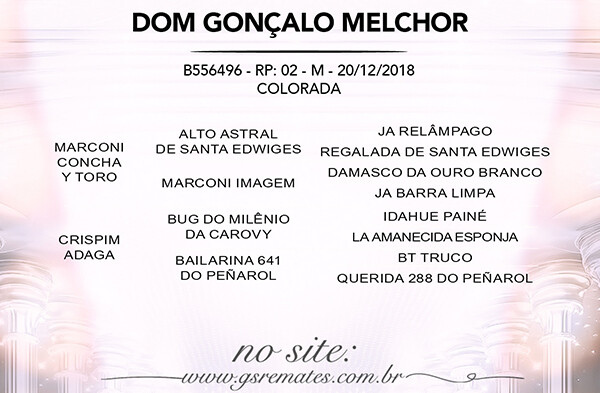 Geração DON GONÇALO MELCHOR