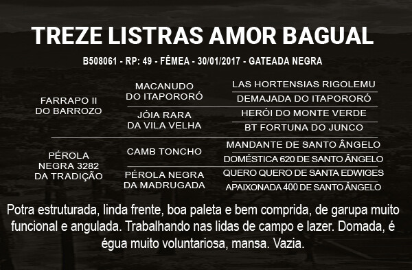 Geração TREZE LISTRAS AMOR BAGUAL