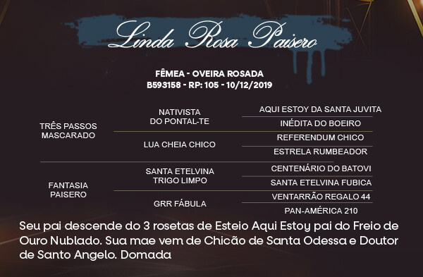 Geração LINDA ROSA PAISEIRO