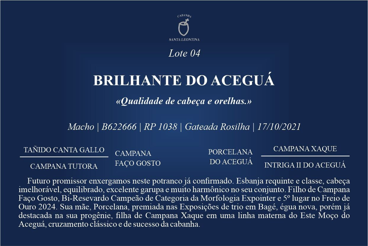 Geração BRILHANTE DO ACEGUÁ