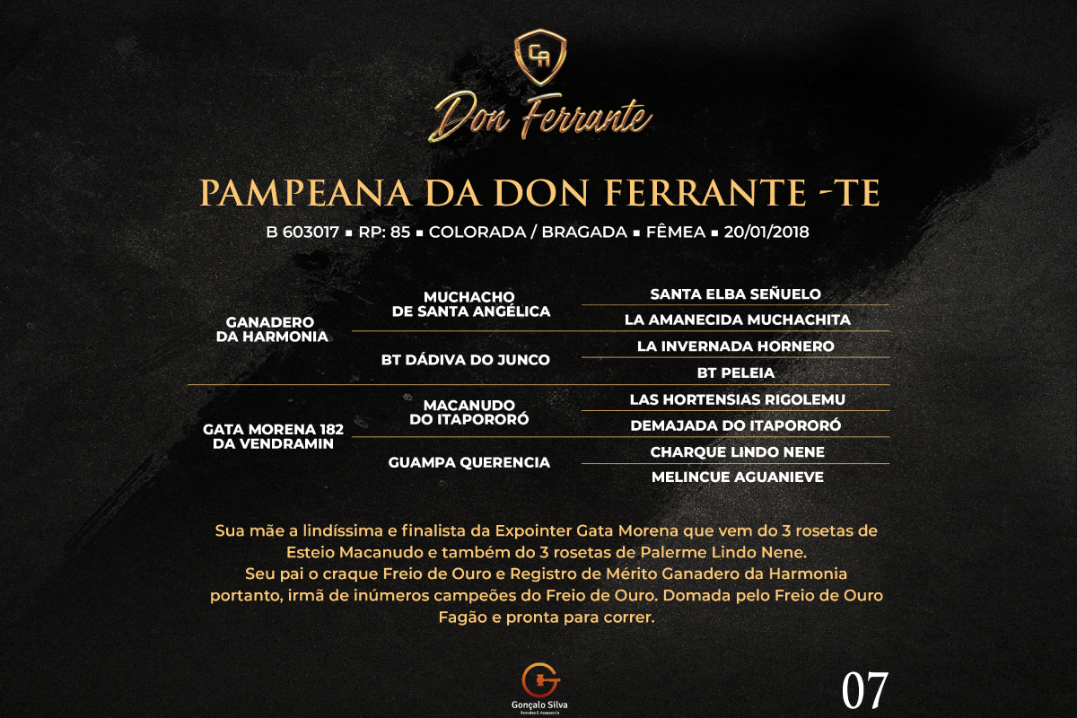 Geração PAMPEANA DA DON FERRANTE - TE