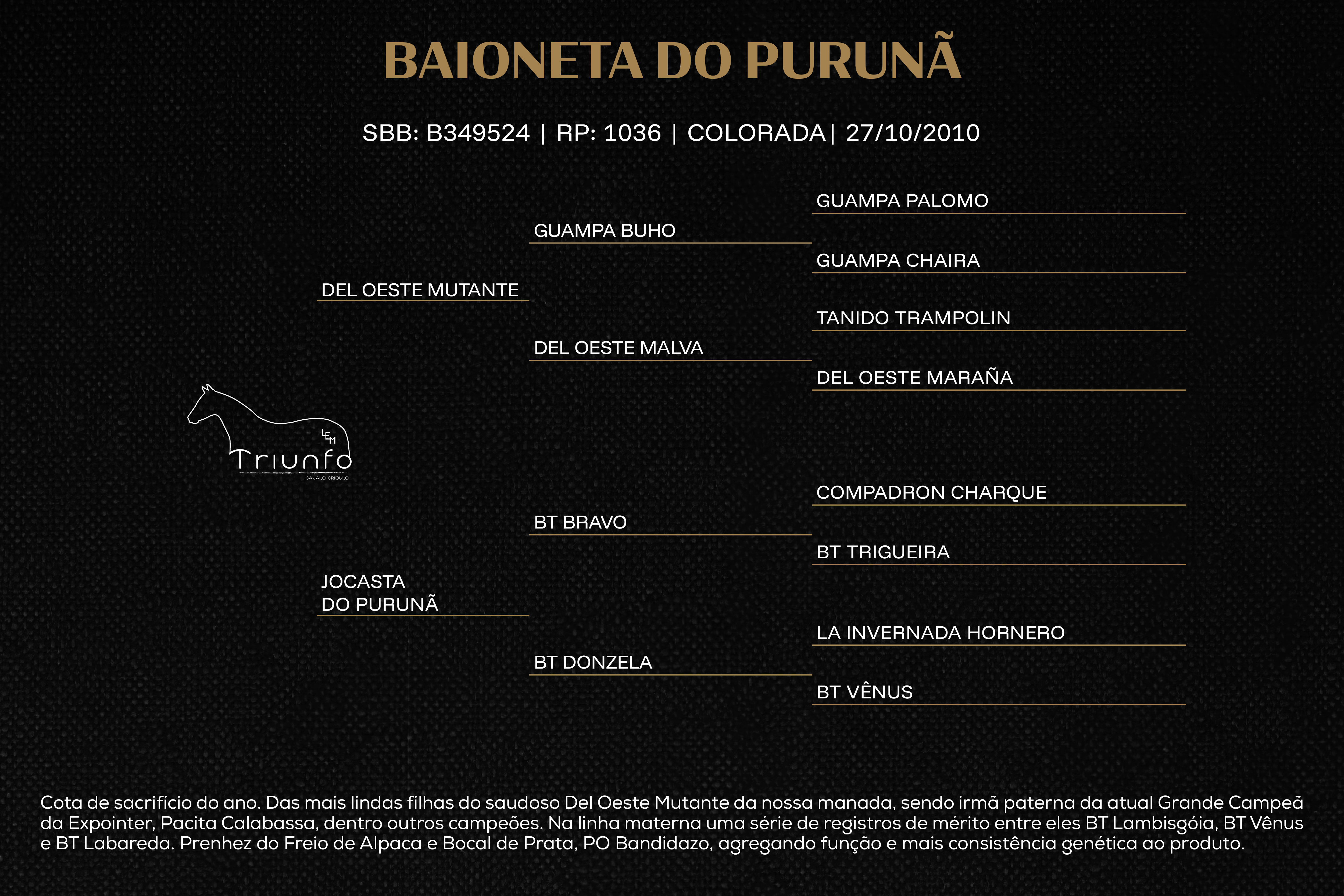Geração BAIONETA DO PURUNÃ (Venda vertical)