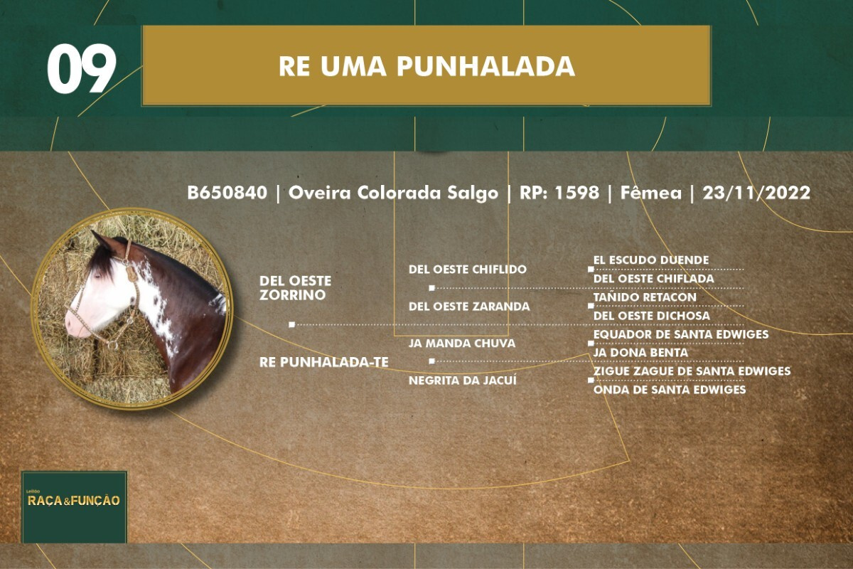 Geração RE UMA PUNHALADA