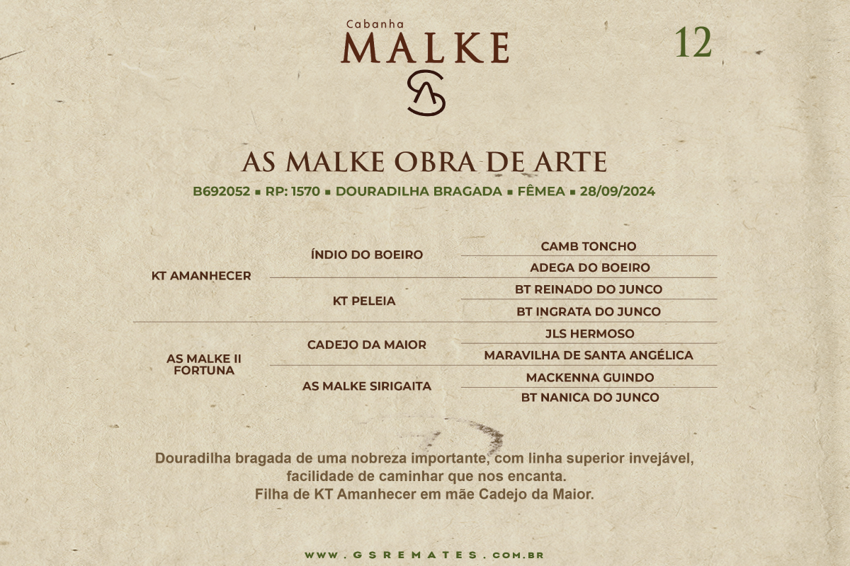 Geração AS MALKE OBRA DE ARTE