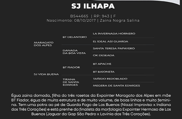 Geração SJ ILHAPA