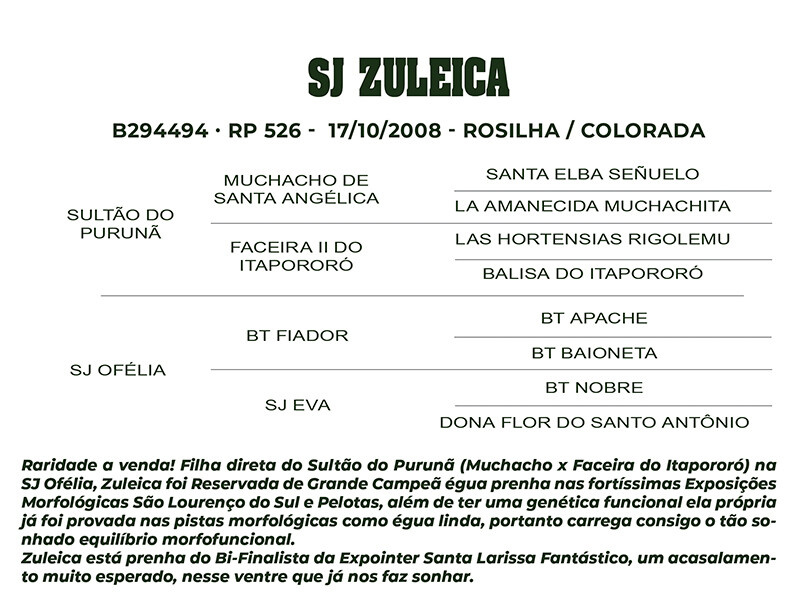 Geração SJ ZULEICA 