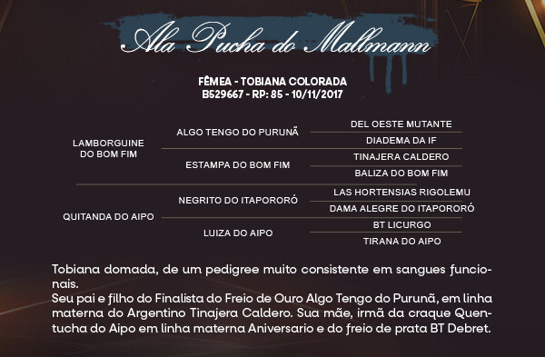 Geração ALA PUCHA DO MALLMANN