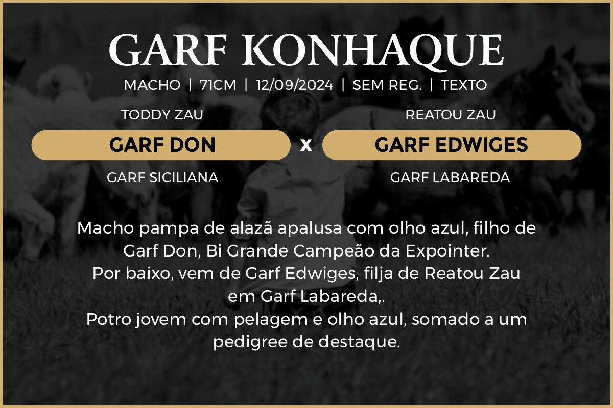 Geração GARF KONHAQUE
