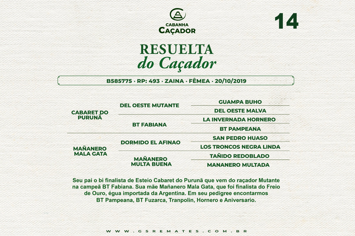 Geração RESUELTA DO CAÇADOR