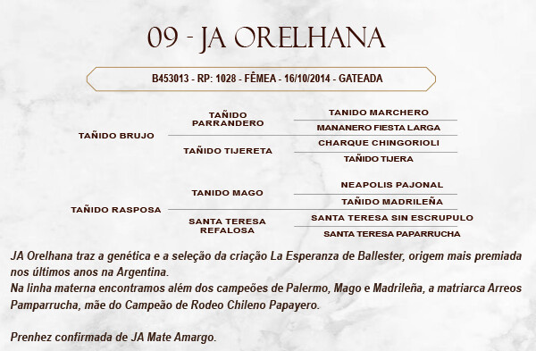 Geração JA ORELHANA 