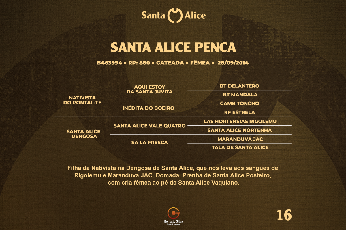 Geração SANTA ALICE PENCA 
