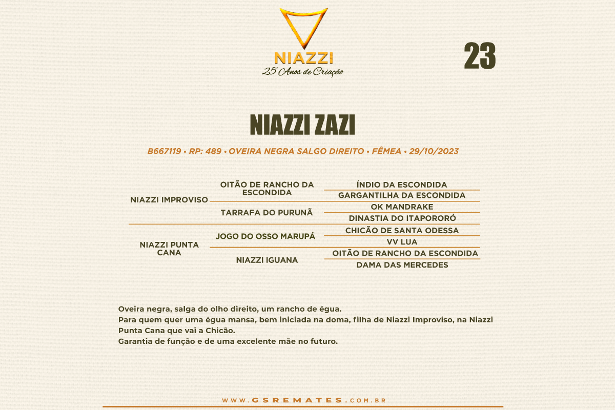 Geração NIAZZI ZAZI