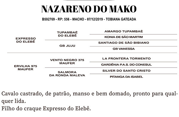 Geração NAZARENO DO MAKO