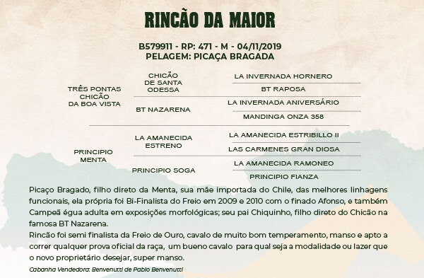 Geração RINCÃO DA MAIOR 