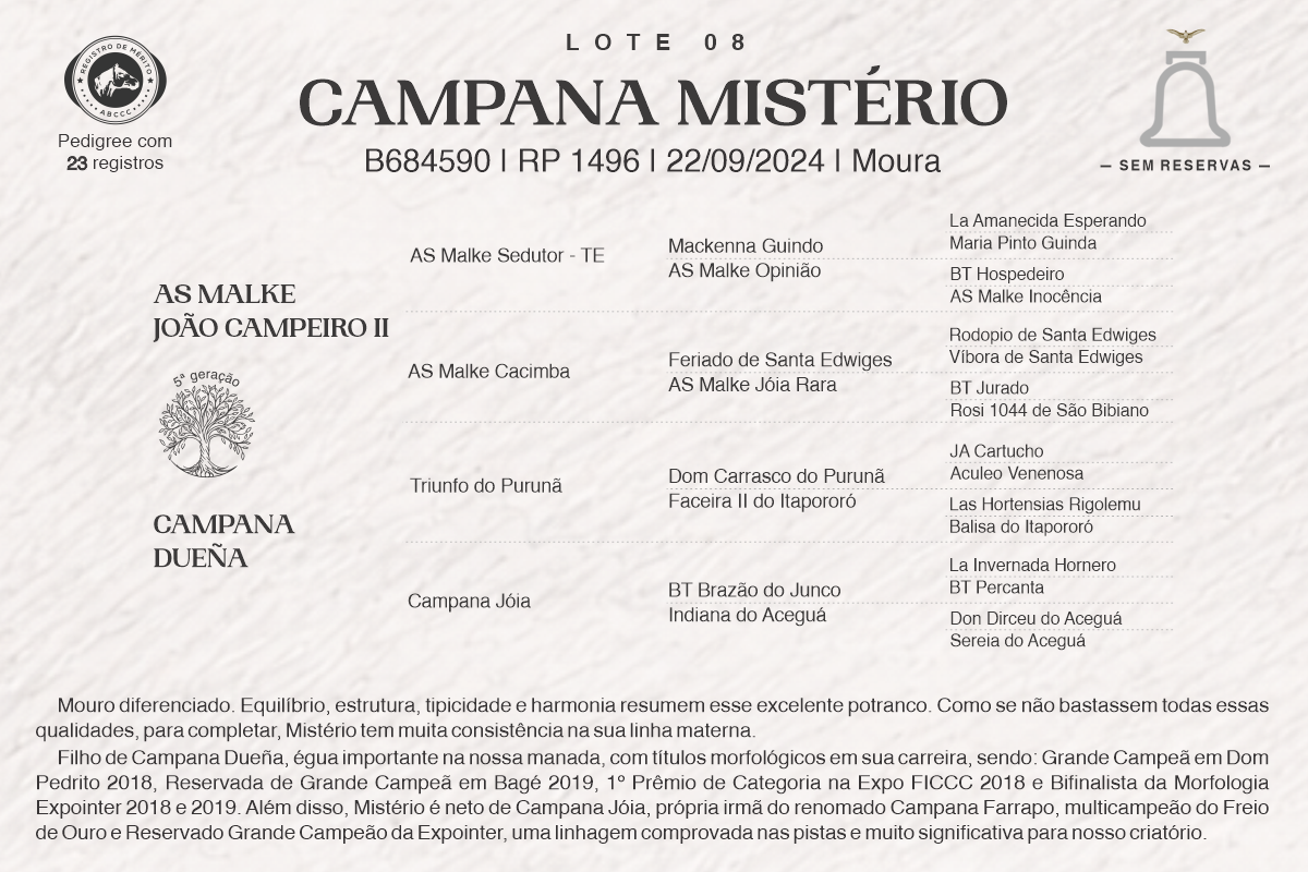 Geração CAMPANA MISTÉRIO