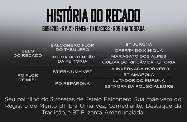 Geração HISTORIA DO RECADO 