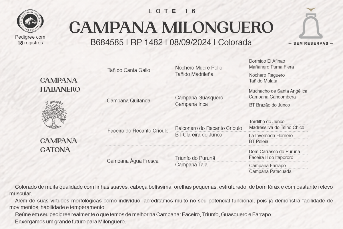 Geração CAMPANA MILONGUEIRO