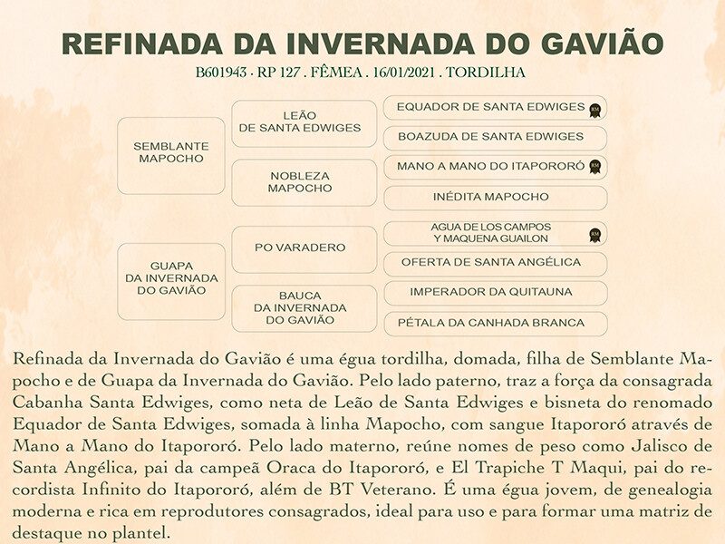 Geração REFINADA DA INVERNADA DO GAVIÃO