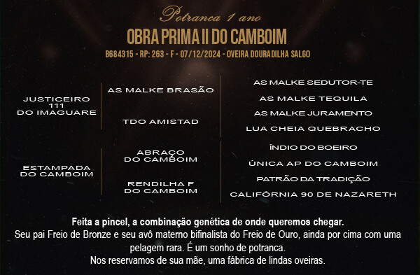 Geração OBRA PRIMA II DO CAMBOIM