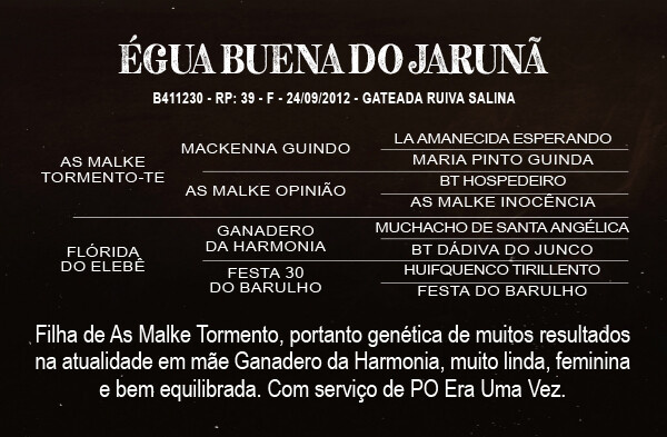 Geração ÉGUA BUENA DO JARUNÃ