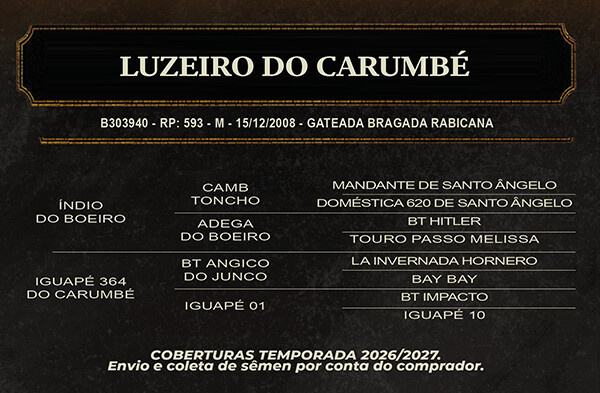 Geração LUZEIRO DO CARUMBÉ