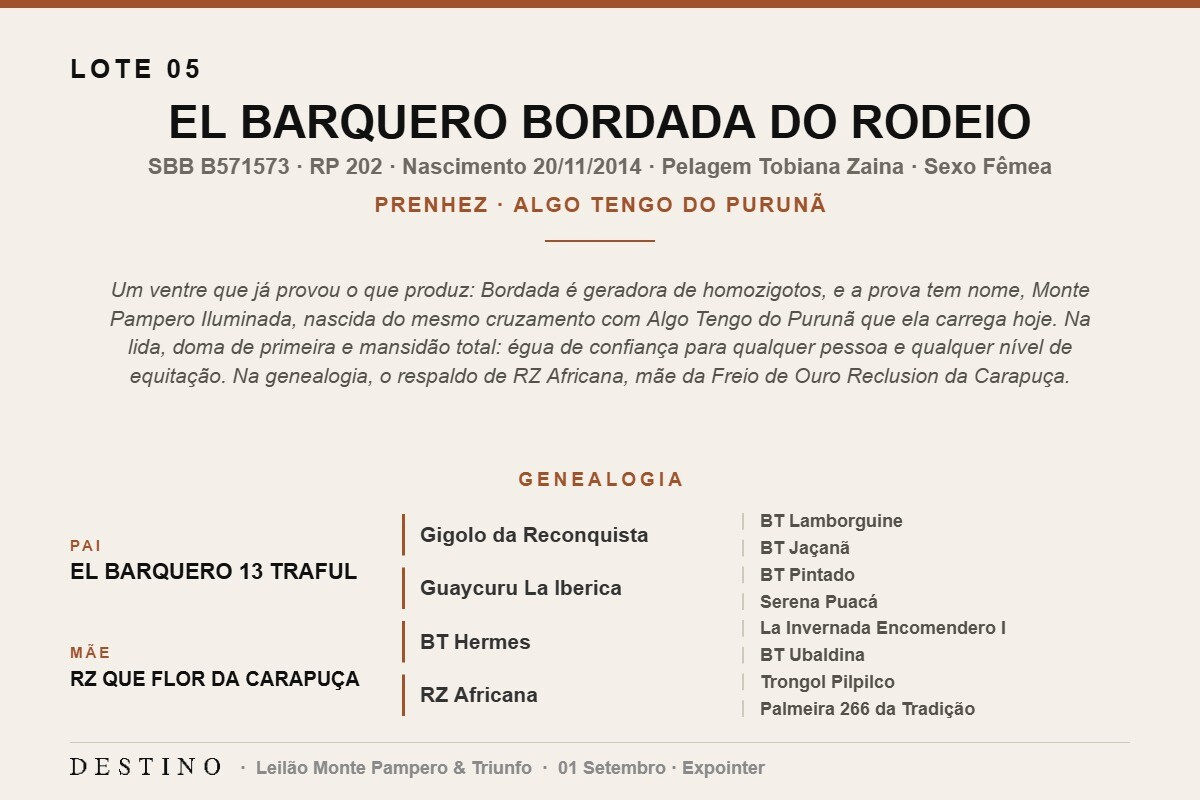 Geração EL BARQUERO BORDADA DO RODEIO 
