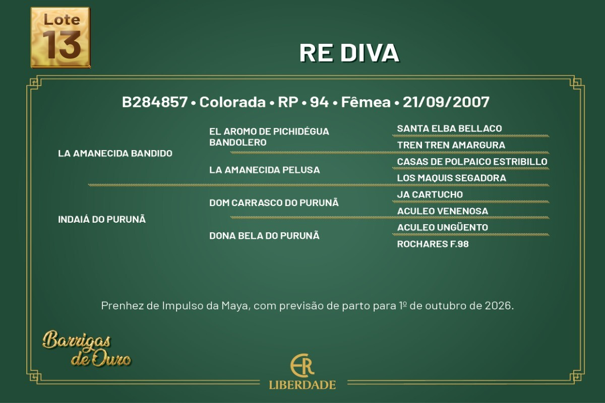 Geração RE DIVA