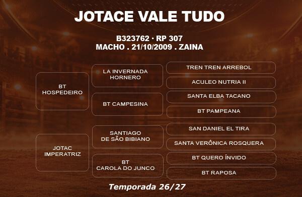 Geração COBERTURA JOTACE VALE TUDO OU JOTACE AMULETO
