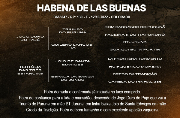 Geração HABENA DE LAS BUENAS