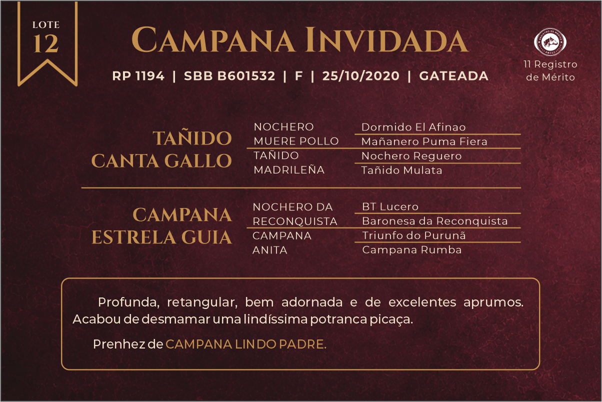 Geração CAMPANA INVIDADA