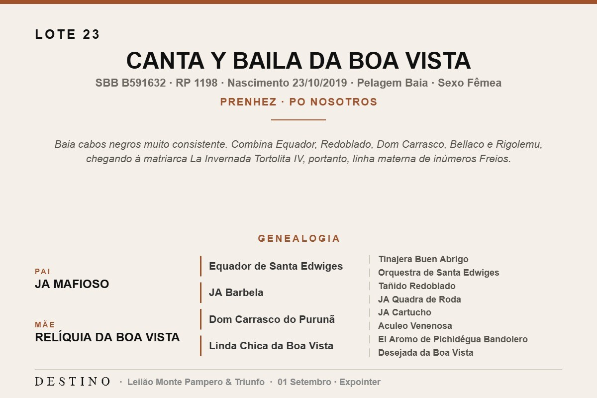 Geração CANTA Y BAILA DA BOA VISTA