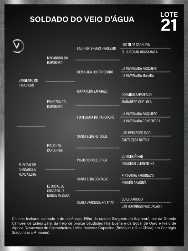 Geração SOLDADO DO VEIO D'ÁGUA