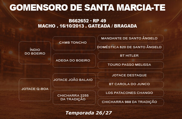 Geração COBERTURA GOMENSORO DE SANTA MARCIA - TE 