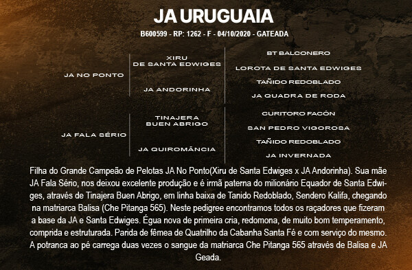 Geração JA URUGUAIA