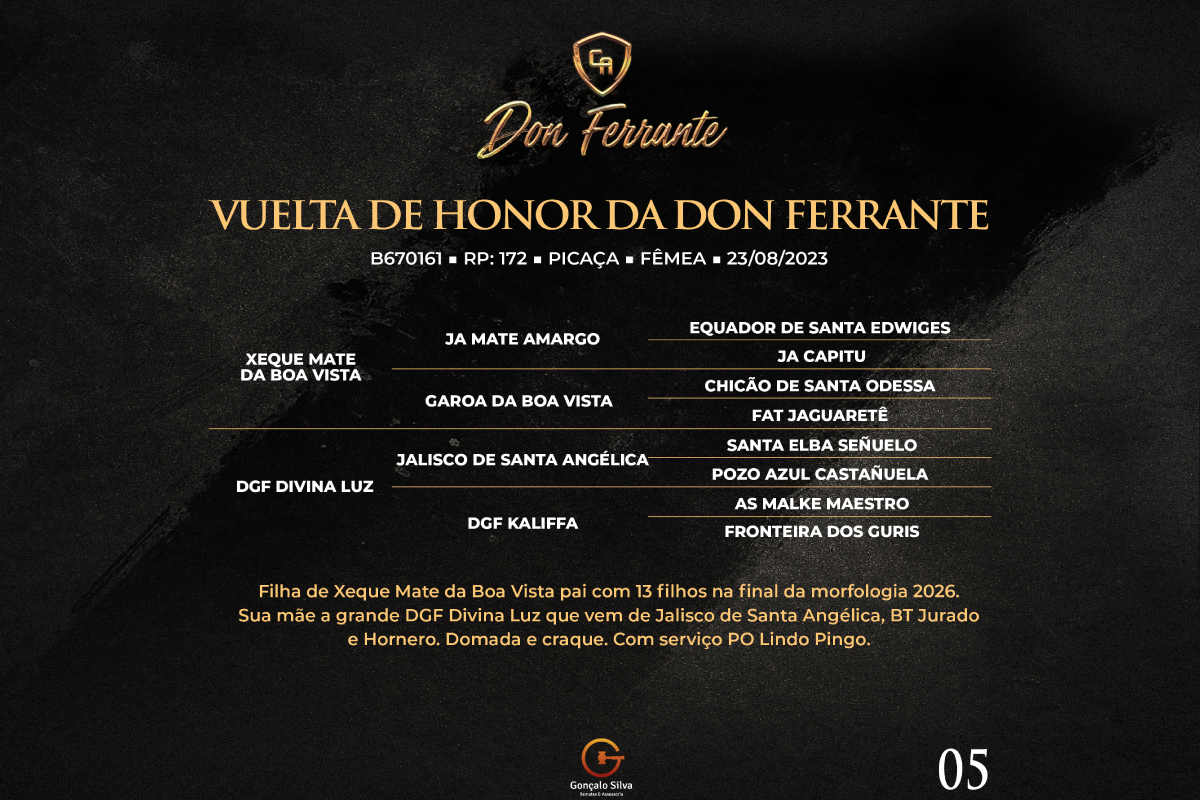 Geração VUELTA DA HONOR DA DON FERRANTE 