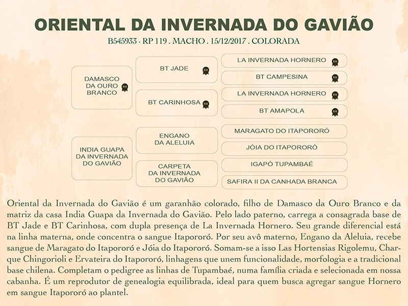 Geração ORIENTAL DA INVERNADA DO GAVIÃO