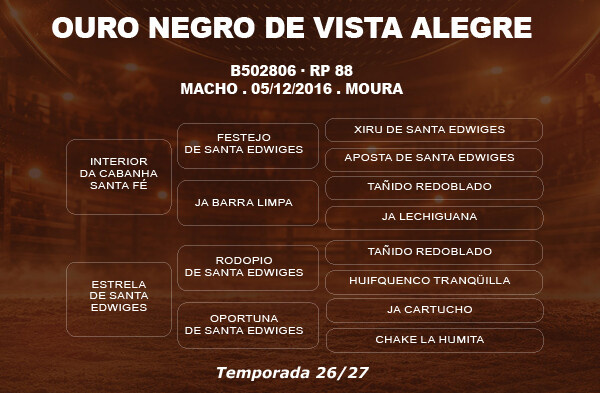 Geração COBERTURA OURO NEGRO DE VISTA ALEGRE