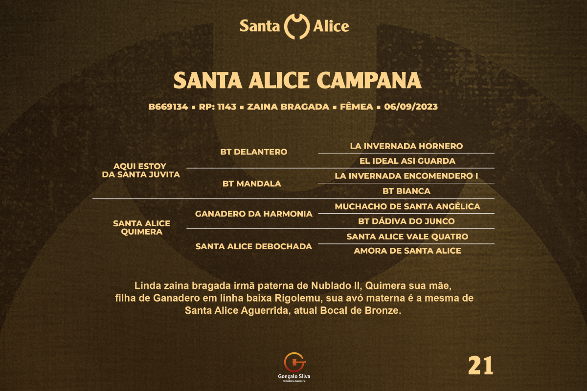 Geração SANTA ALICE CAMPANA 