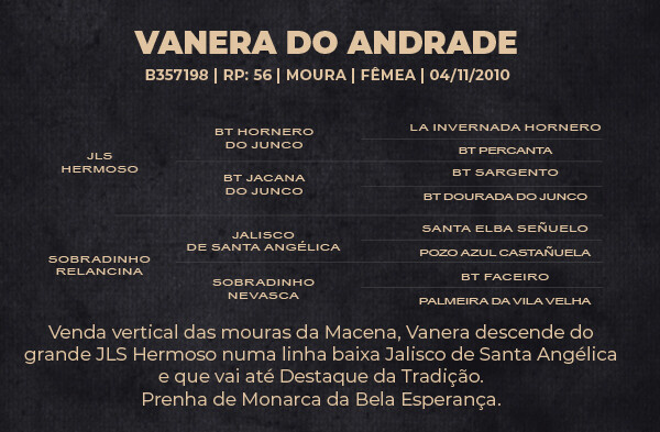 Geração VANERA DO ANDRADE ( VENDA VERTICAL )