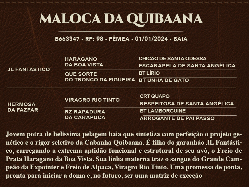 Geração MALOCA DA QUIBAANA