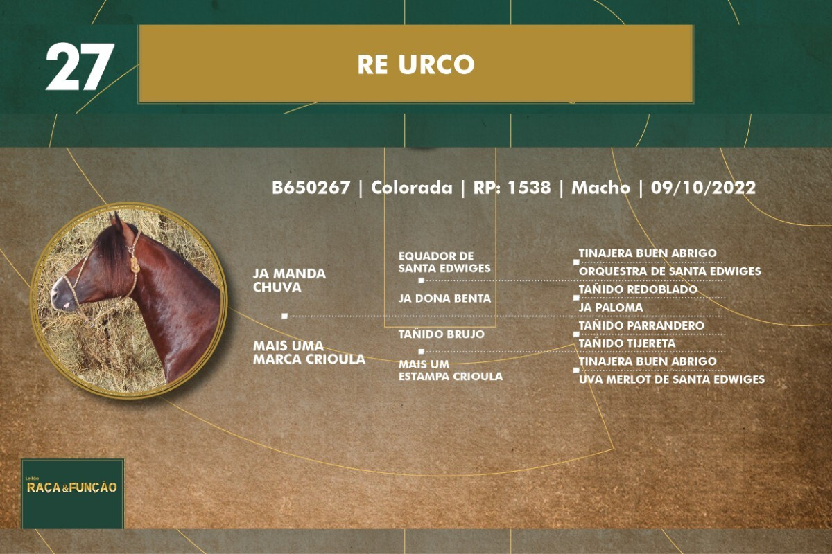 Geração RE URCO