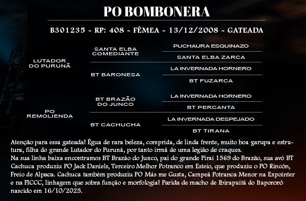Geração PO BOMBONERA
