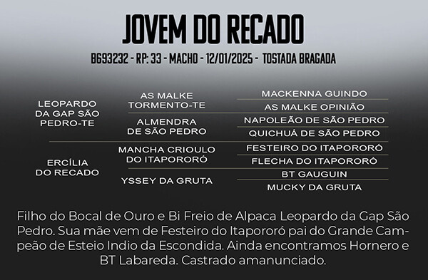 Geração JOVEM DO RECADO